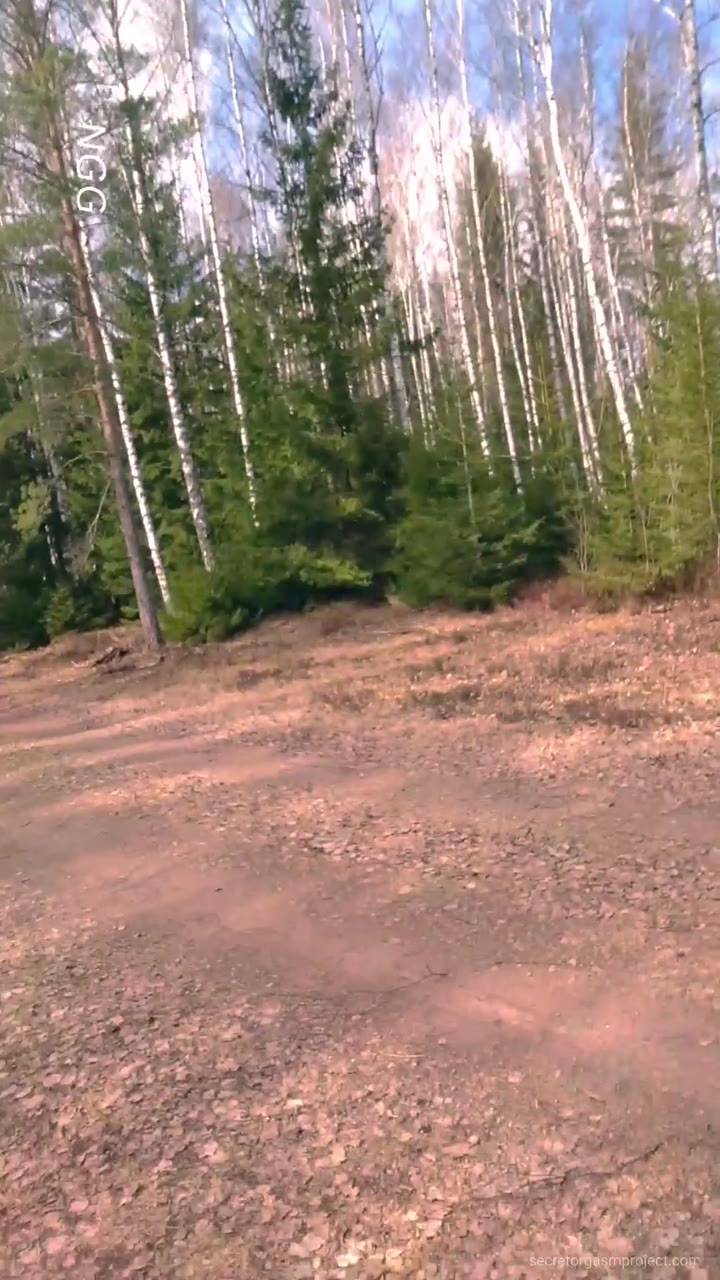 Riding my Bike to the Train Tracks